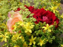 Johanniskraut mit Rosen und Frauenmantel (Bild: Sylvia Haendschke)
