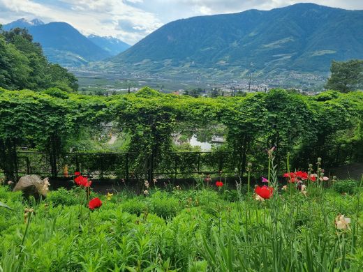 Gärten von Schloss Trauttmansdorff in Meran-Italien 2025-Panoramabild